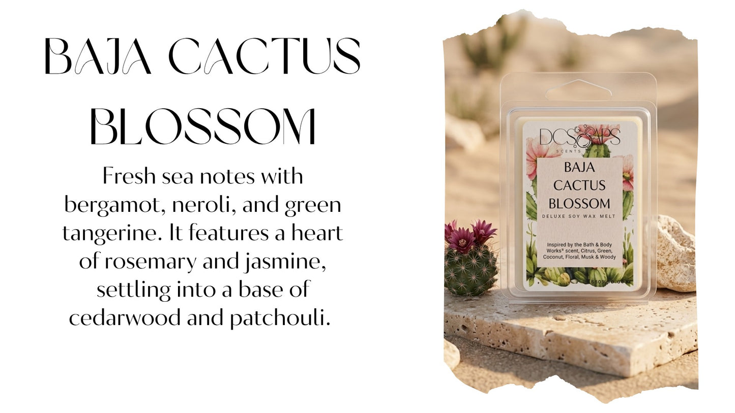 Baja Cactus Blossom