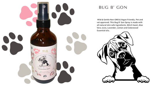 Bug B Gon Flea & Tick Spray