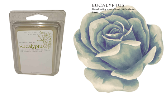 Eucalyptus
