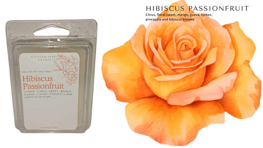 Hibiscus Passionfruit