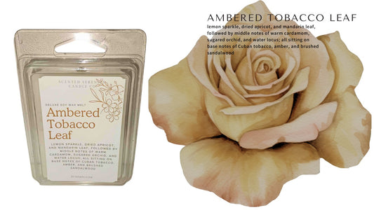 Ambered Tobacco Leaf