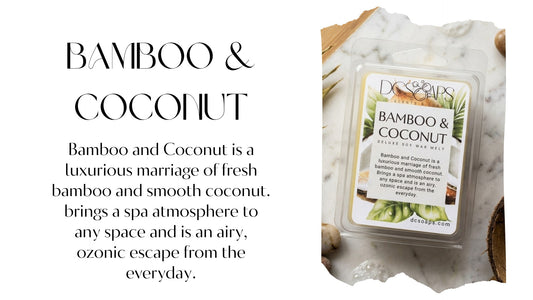 Bamboo & Coconut