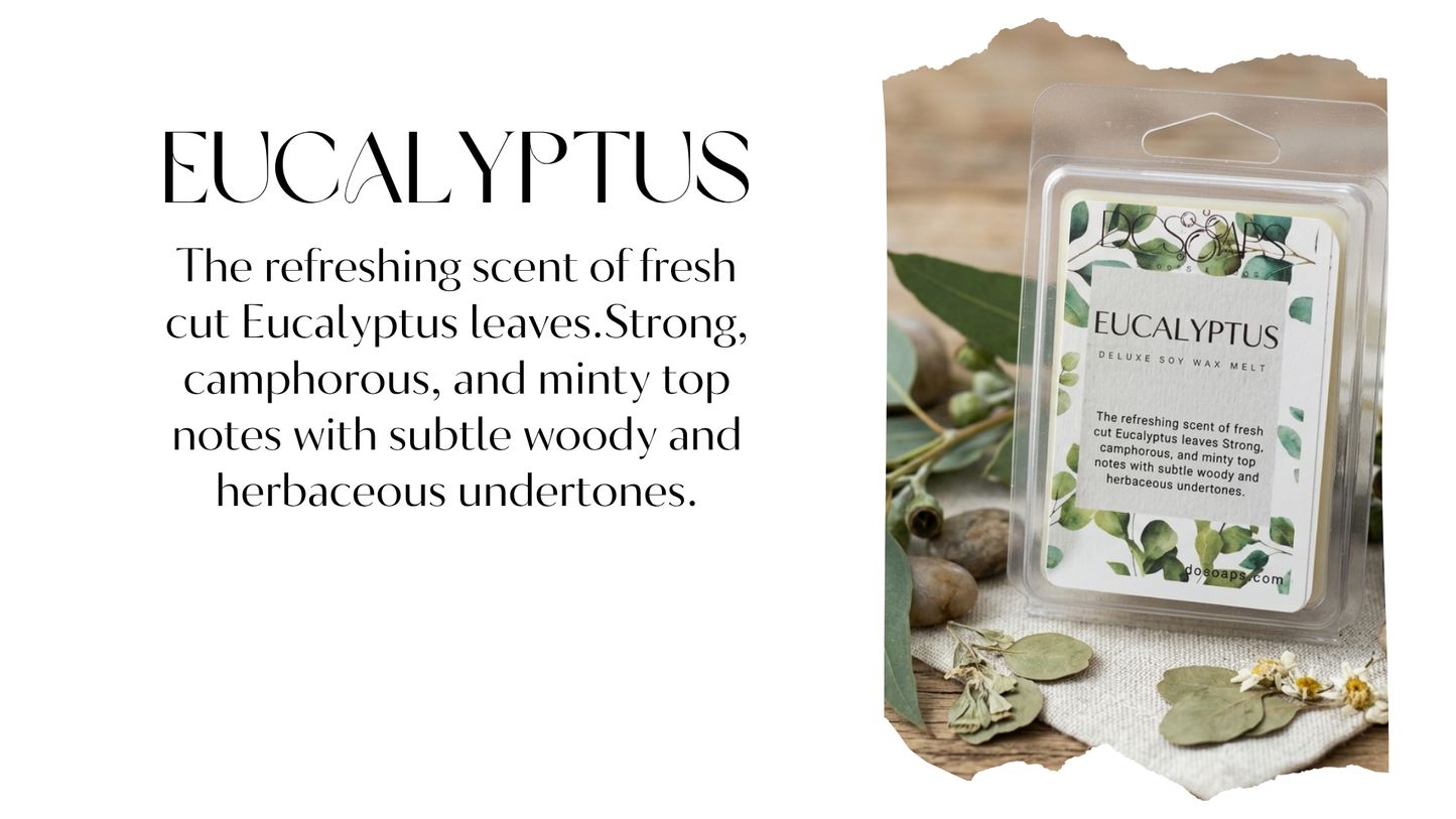 Eucalyptus
