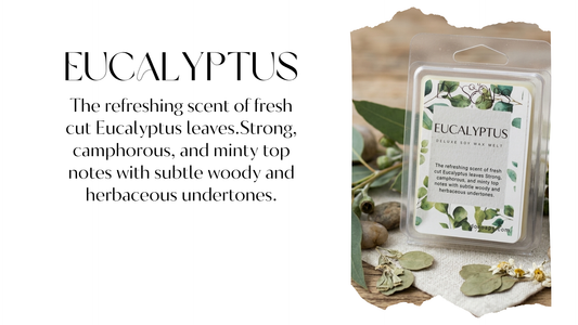 Eucalyptus
