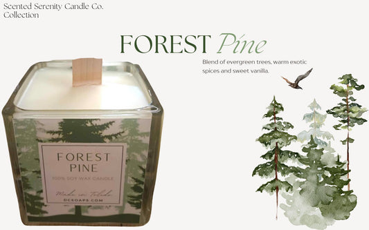 Forest Pine