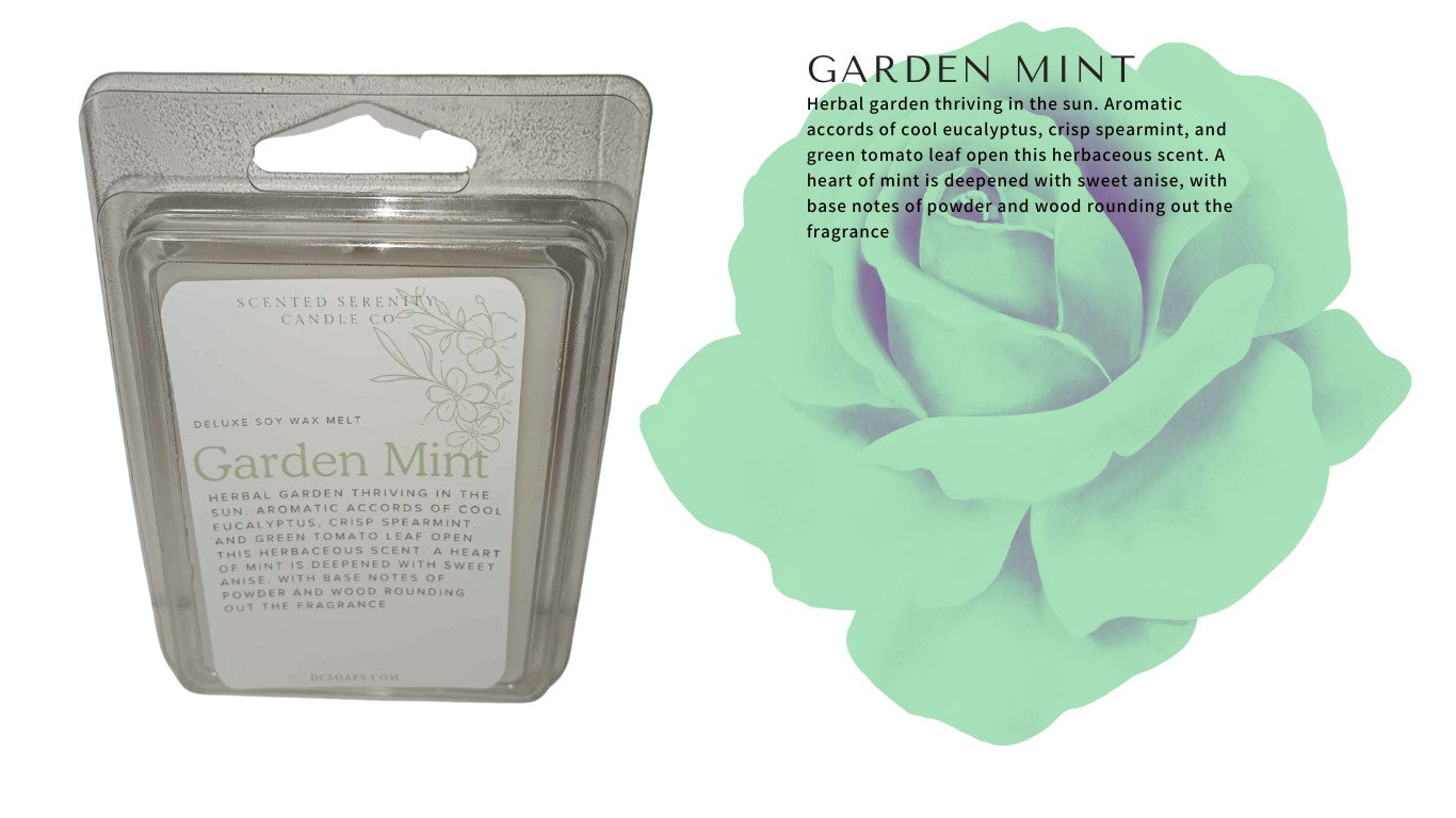 Garden Mint