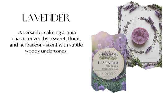 Lavender Shampoo & Conditioner Bar