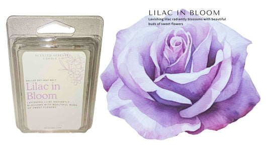 Lilac in Bloom