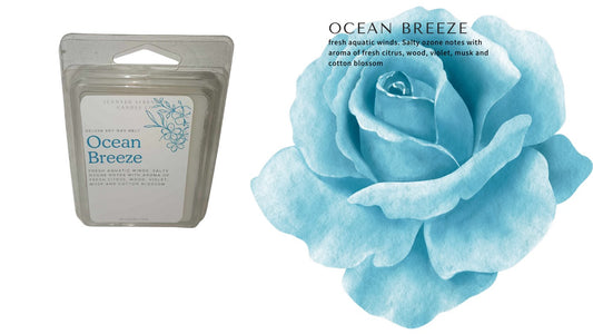 Ocean Breeze