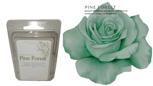 Pine Forest