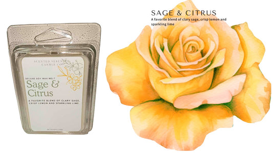 Sage & Citrus